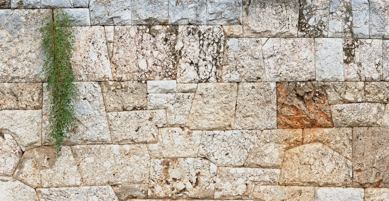 A long wall of close-fitted limestone blocks, with a small plant growing from a joint, beside the Street of the Tombs.