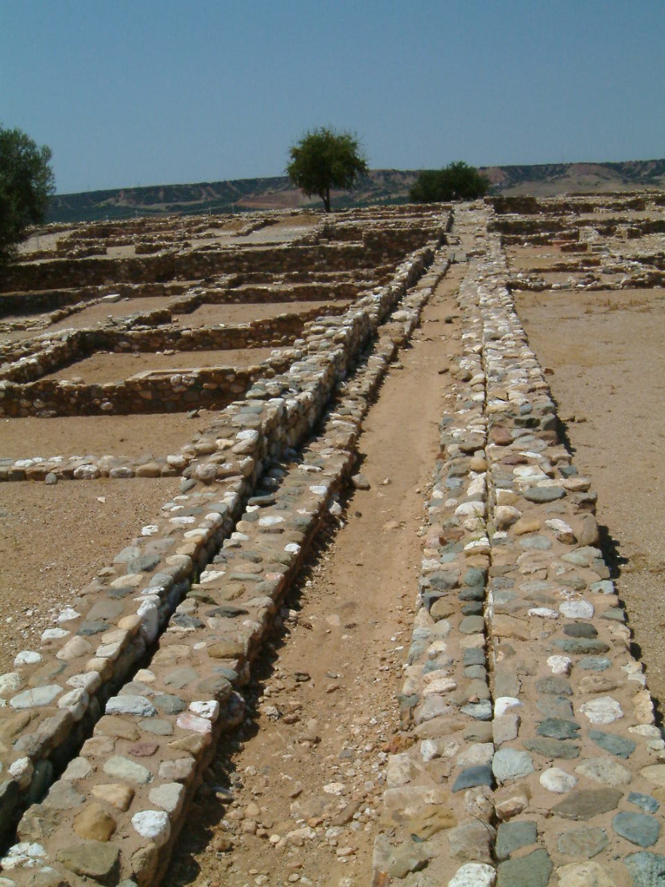 A narrow lane runs between two long rows of low stone wall footings, the outlines of house after house laid out on a grid, under a clear sky.