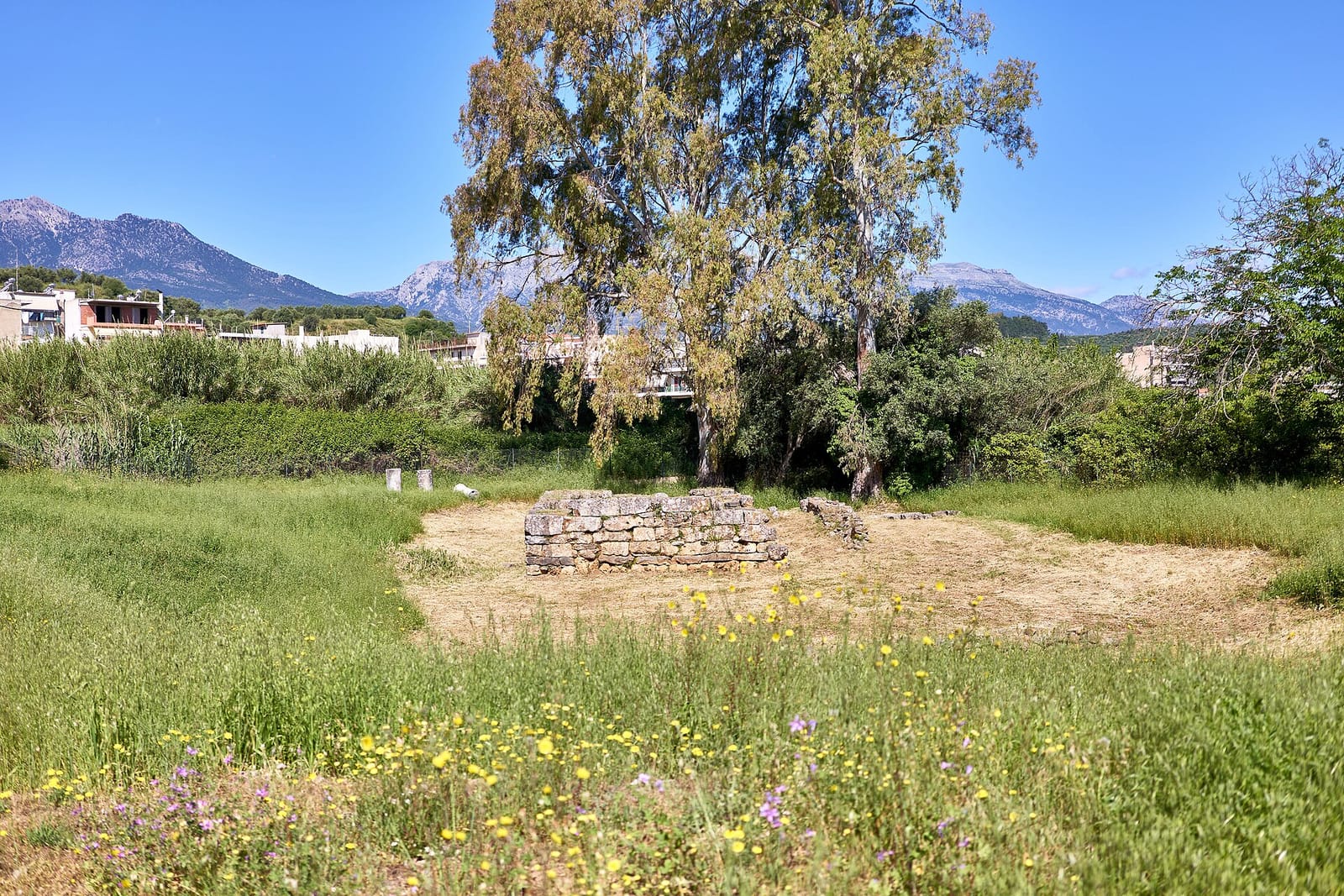 A grassy field with the low stone foundations of a small temple, trees behind it and mountains in the distance.